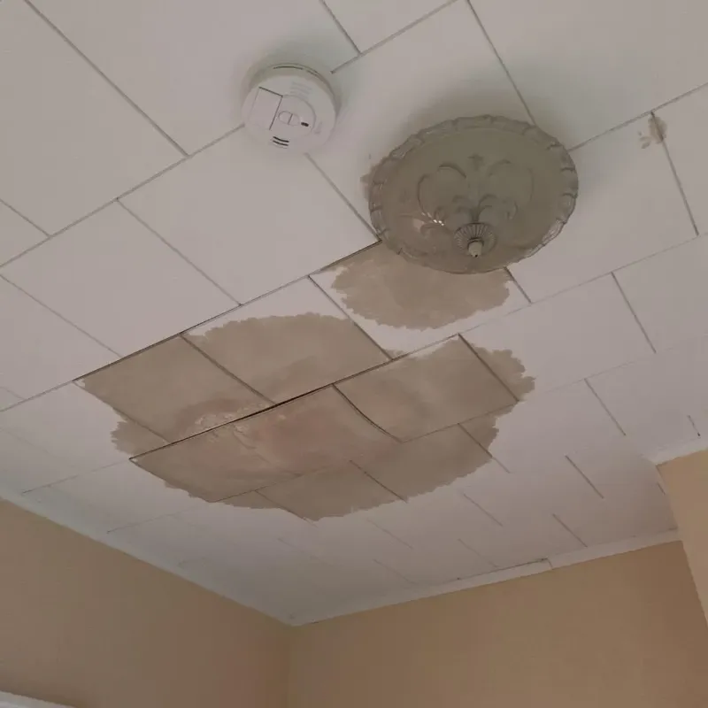 Ceiling Water Damage Repair in Hoback, WY