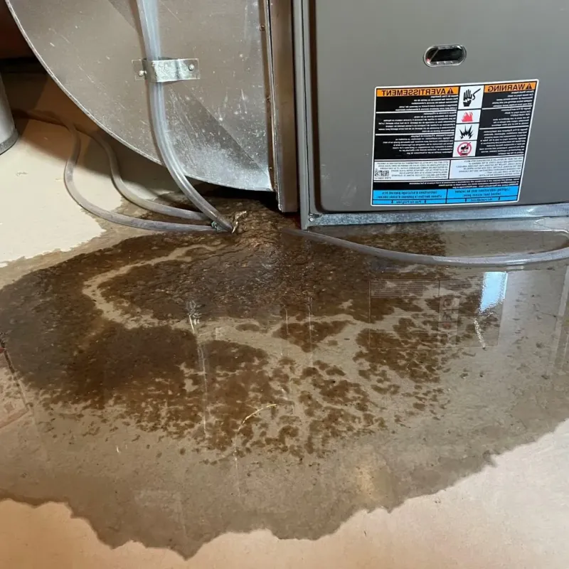 Pipe Burst and Leak Restoration in Hoback, WY