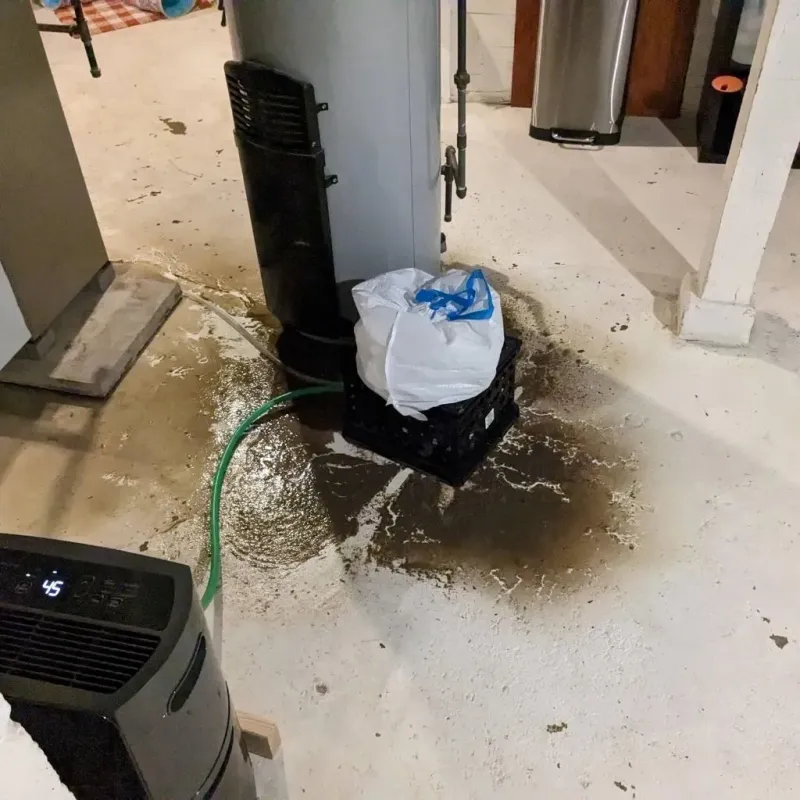 Sewage Backup Cleanup Service in Hoback, WY